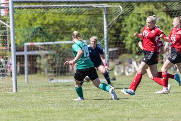 Bild 146 - F SG NieBar - IF Stjernen Flensborg : Ergebnis: 2:0